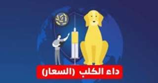 وزارة الصحة: تكثيف جهود القضاء...