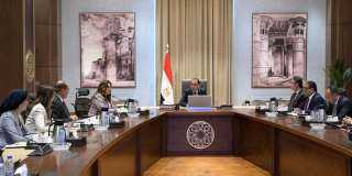 مدبولي يؤكد ضرورة زيادة جهود...