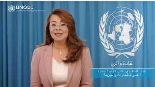 غادة والي: الاستراتيجية المصرية لمكافحة...