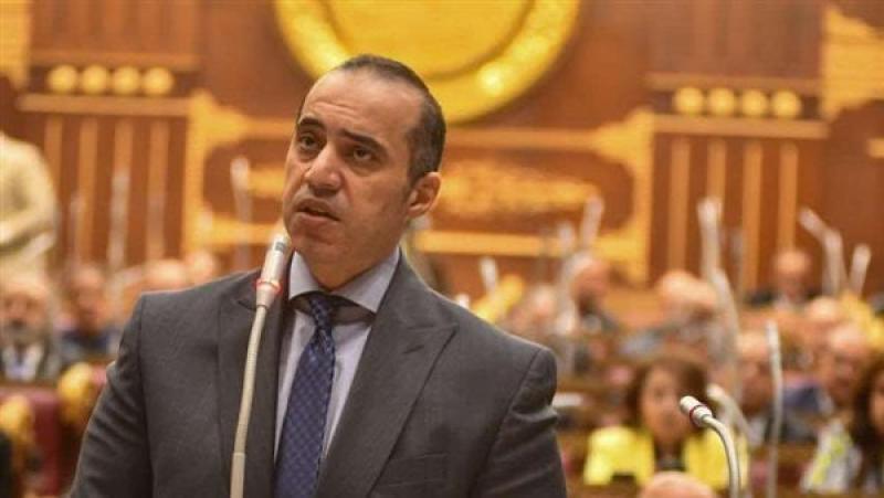 وزير الشئون النيابية القانونية