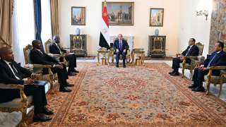 الرئيس السيسي يستقبل وزير العلاقات...