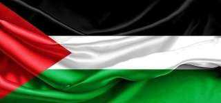 مصر تحيي اليوم الدولي للتضامن...