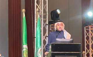 الجامعة العربية: نعمل جنبا لجنب...