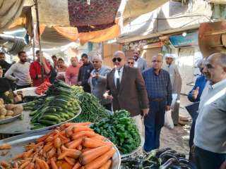 محافظ المنيا: ضبط 156 مخالفة...