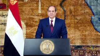 السيسي يؤكد ضرورة إيجاد حلول...