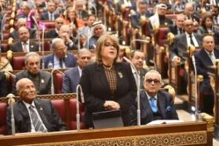 وكيلة الشيوخ: مشروع قانون ”قواعد...