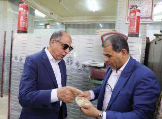 محافظ المنيا: ضبط 206 مخالفات...