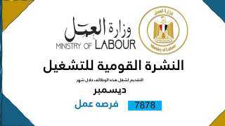 وزارة العمل: 7878 فُرصة عمل...