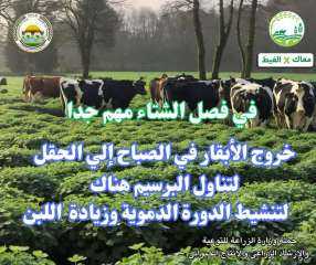 ”معاك في الغيط” تنشر توصيات...