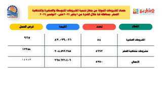 295 مليون جنيه لتمويل المشروعات...