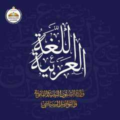 وزير الشئون النيابية: اللغة العربية...