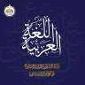 وزير الشئون النيابية: اللغة العربية...