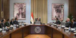 رئيس الوزراء يلتقي المدير التنفيذى...