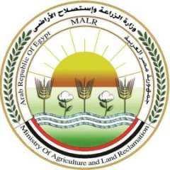 حصاد وزارة الزراعة في 2024.....