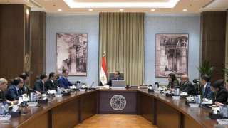 رئيس الوزراء يتابع مع وزير...