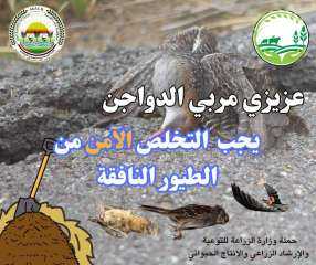 ”معاك في الغيط” تنشر توصيات...