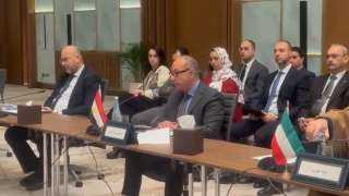 سلطة الطيران المدني المصري تشارك...