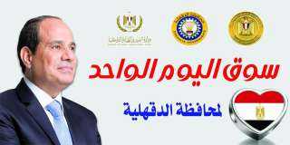 محافظ الدقهلية:انطلاق سوق اليوم الواحد...