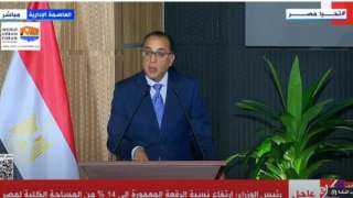 مدبولي: 30 مليار جنيه لدعم...
