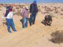 مركز بحوث الصحراء يواصل جهوده...