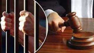 رخصة مزورة.. استمرار حبس عصابة...