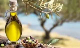 معلومات الوزراء: 5.8 مليون شجرة...