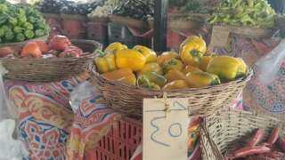 محافظ الجيزة: منفذ لبيع الخضراوات...
