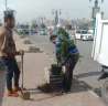 محافظ أسيوط: زراعة الأشجار بالطريق...