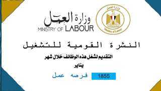 وزارة العمل: 1855 فُرصة عمل...
