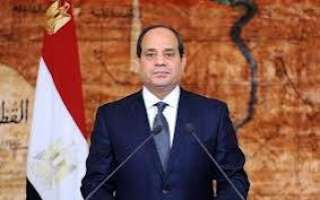 الرئيس السيسى: بالجهود الدؤوبة للقوات...