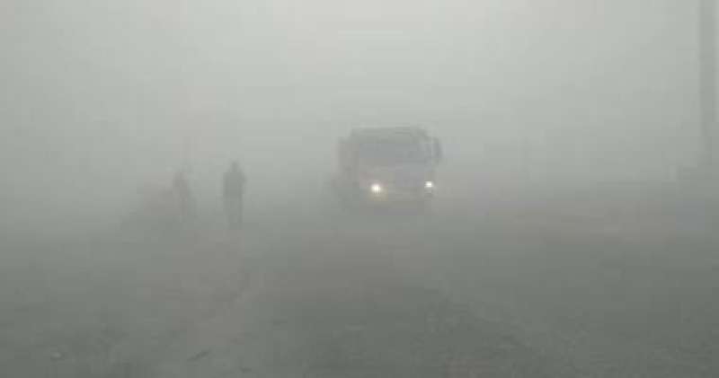 شبورة صباحا..  حالة الطقس المتوقعة اليوم السبت 25 يناير 2025 فى مصر