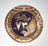 رئيس جامعة القاهرة يهنئ رئيس...