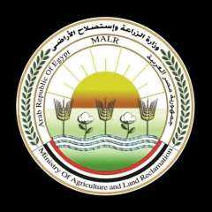 الزراعه: فتح باب استيراد كتاكيت...