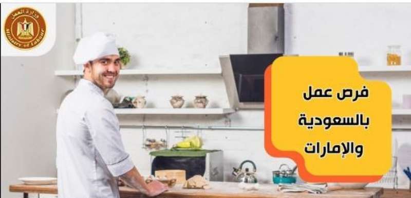 وزير العمل يُعلن عن فُرص عمل جديدة في الإمارات والسعودية