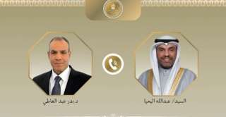 اتصال هاتفى بين وزير الخارجية...