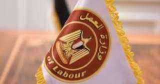 وزير العمل: 140 فرصة عمل...
