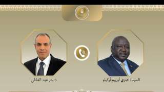 اتصال هاتفي بين وزير الخارجية...