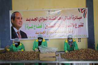 محافظ الوادي الجديد يتفقّد مركز...