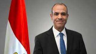 وزير الخارجية يؤكد ضرورة الحفاظ...