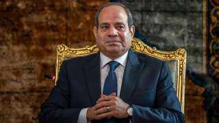 الرئيس السيسي يستقبل الرئيس التنفيذي...
