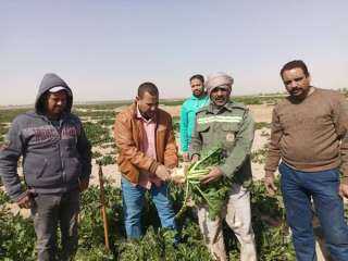 الزراعة: تواصل جهود مكثفة لتنمية...