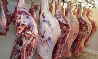 أسعار اللحوم الحمراء فى الاسواق...