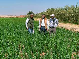 مركز بحوث الصحراء يتابع الأنشطة...