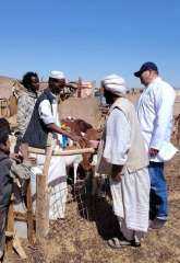 مركز بحوث الصحراء يواصل نشاطاته...