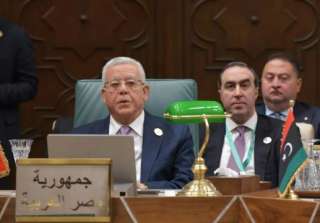 رئيس النواب: مصر وفرت حماية...