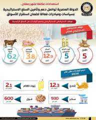الدولة المصرية تواصل دعم وتأمين...