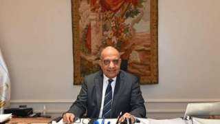 محمود عصمت: مصر تواصل العمل...
