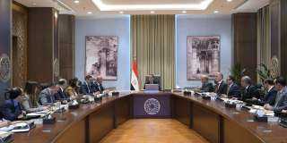 رئيس الوزراء يستعرض مشروعا مقترحا...