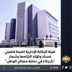 هيئة الرقابة الإدارية تضبط قضيتي...