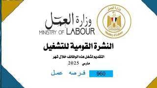 وزارة العمل: 960 فُرصة عمل...